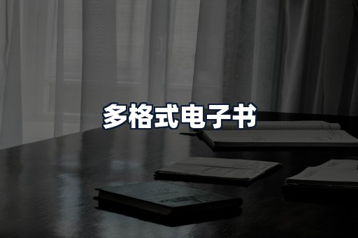多格式电子书